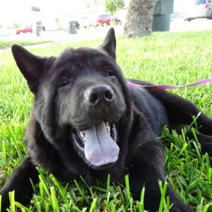 Meet your Posher, Felipe